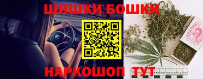 трава Гатчина