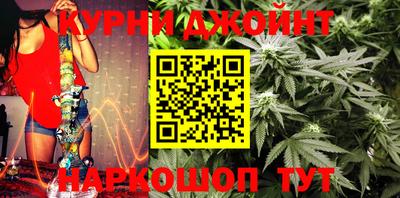 ALPHA PVP Гай