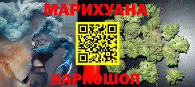 ALPHA PVP Гай