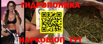 ALPHA PVP Гай