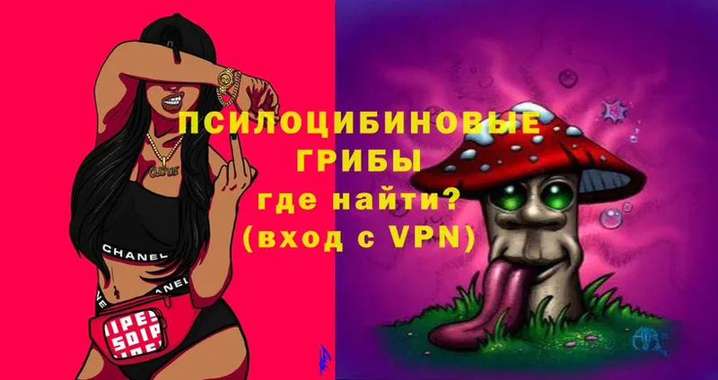 Галлюциногенные грибы Magic Shrooms  mega сайт  Кизилюрт 