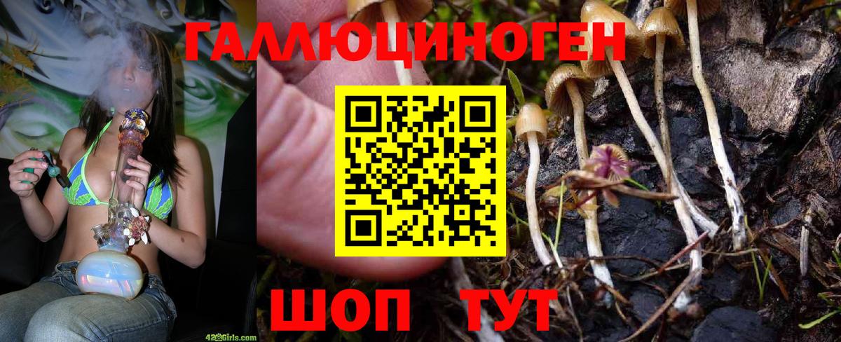 Псилоцибиновые грибы прущие грибы Кизилюрт