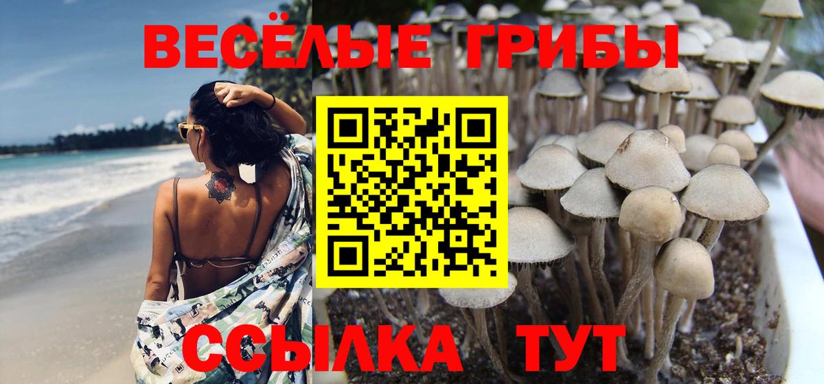 Кизилюрт  Псилоцибиновые грибы Magic Shrooms  Галлюциногенные грибы Magic Shrooms  Вход с VPN 