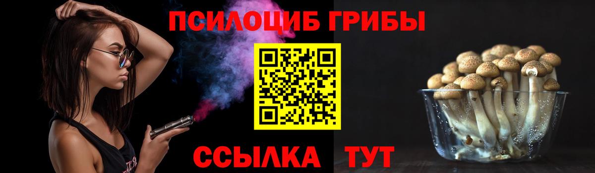 Псилоцибиновые грибы Psilocybine cubensis Кизилюрт